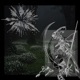 Call me at Night Single