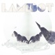 Amanda Grymez The Rebirth 2 0 Single