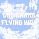 Flying High Single