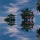 Sunshine Single
