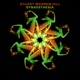Synaesthesia Single