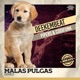 Pipers CodiFunk Single