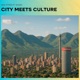 City Meets Culture feat Schizo Single