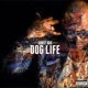 Dog Life