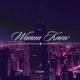 Wanna Know Single