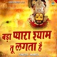 Bada Pyara Shyam Tu Lagta Hai Single