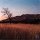 Between Views Single