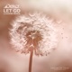 Let Go Lumiere Remix Single