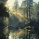 Early Lights Single