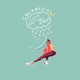 Lluvia SÑRDON Remix Single
