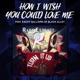 How I Wish You Could Love Me feat Kacey Williams Single