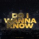 Do I Wanna Know Single