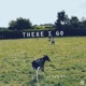 There I Go Single