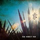Run Rabbit Run feat Suerte Tequila Single