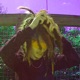 I D K feat shehates601 Single