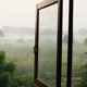 Window Single