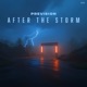 After The Storm Single