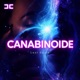 CANABINOIDE Single