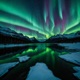 Northern Lights feat Yung Vision Single