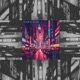 City Lights Single