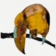 Do feat Cosmo Sheldrake EP