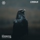 Crows Eyes EP