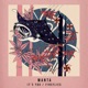 It s You Fireflies Single