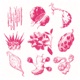 Le temple Le nectar Single