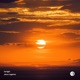 Alone Together Single