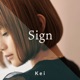 Sign Single