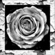 Modern Day Love Story EP EP