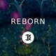 Reborn Single
