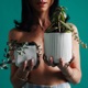Houseplants Single