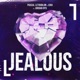 Jealous feat Jordan Rys Single