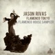 Flamenco House Sampler