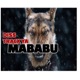 Diss Track Ya Mababu Single