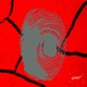 Born in Chaos Single