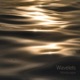 Wavelets Single
