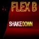 ShakeDown Single