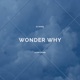 Wonder Why feat Adam Bomb Single