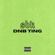 DNB TING Single