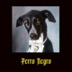 Perro Negro Single