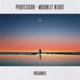 Moonlit Night Single