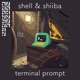 Terminal Prompt Single