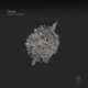 Secret Function Single
