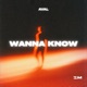 Wanna Know Single