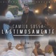 Lastimosamente Single