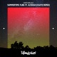 Summertime Fling feat Alyshah Cahto Remix Single
