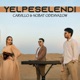 Ýelpeselendi feat Nobat Odenyazov Single