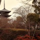 Kyoto Single